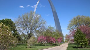 The silver Gateway Arch, behind blooming spring trees. A paved walking path is in the foreground.