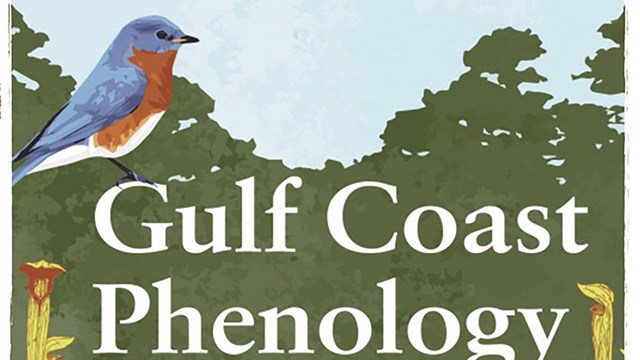 gulf coast phenology trail 