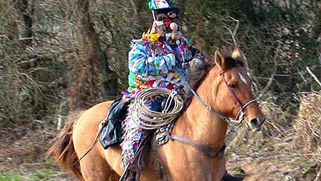 Guy in Cajun Mardi Gras costume riding a horse