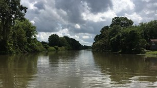 Waters of Bayou Lafourche with trees on banks and clouds overhead