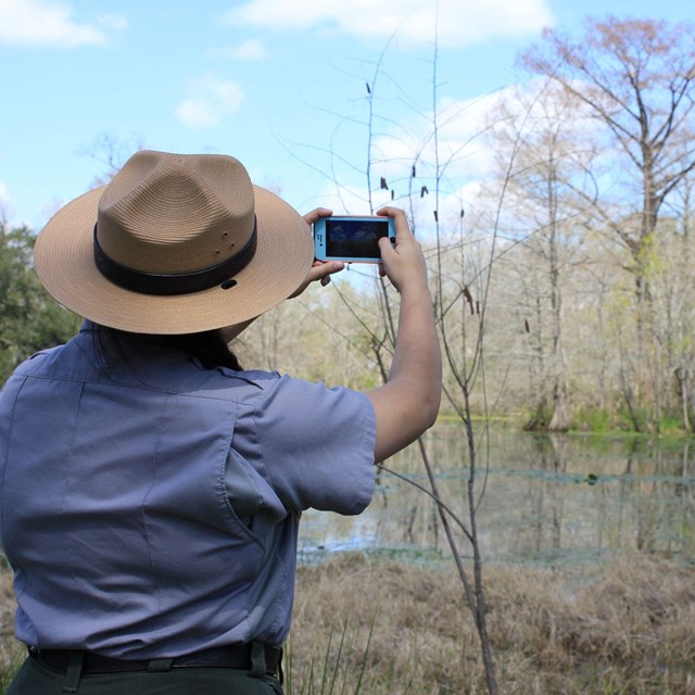 Outside park ranger stands next to a bayou and holds up a phone.