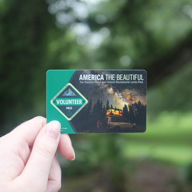 Plastic card held up in front of trees. Card says 