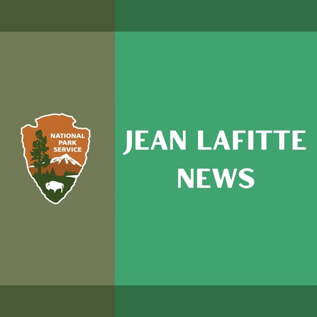 Green graphic with text 