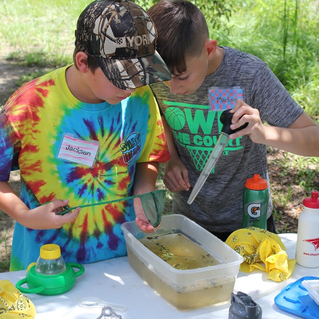 Two boys peer into a bin of murky water and hold pipettes.