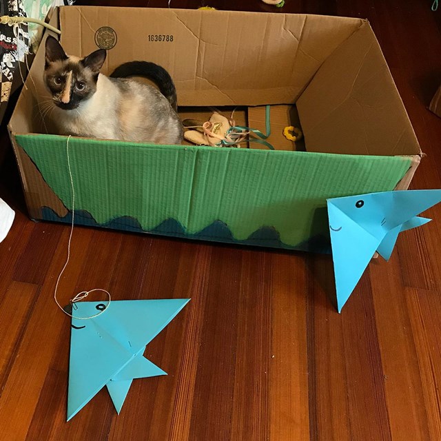 cat in box with origami fish in front of it