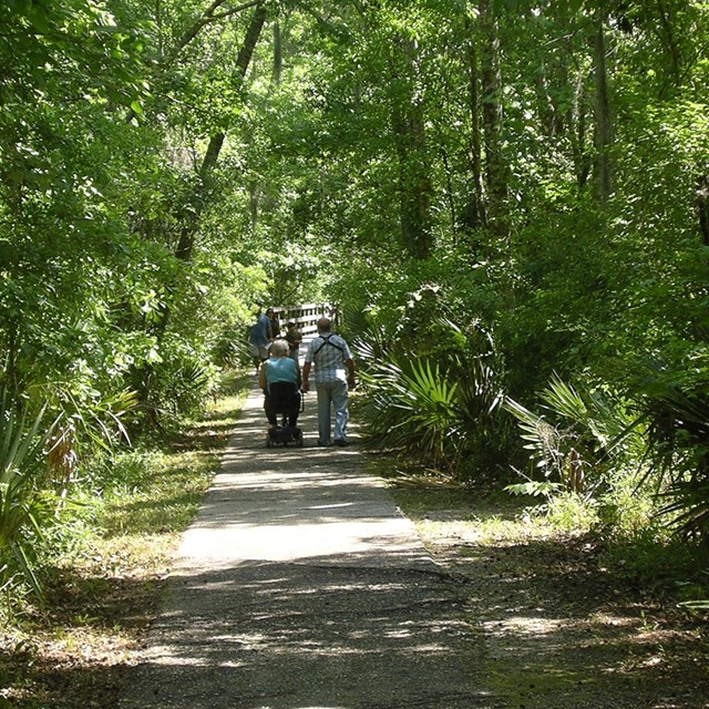Visitors walk on a trail in a forest.