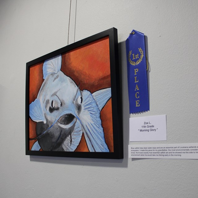 A framed painting of a blue catfish hangs on a white wall next to a blue first place ribbon.