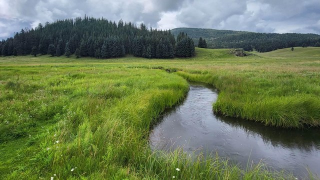 A creek meanders through a grassy meadow.