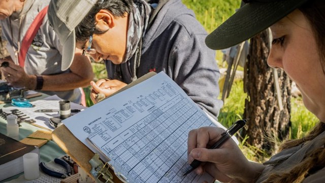 Citizen scientists jot down notes on clipboards.