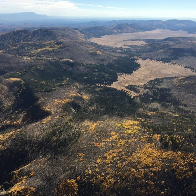 An aerial view of a rolling landscape of vast valleys and forested hills.