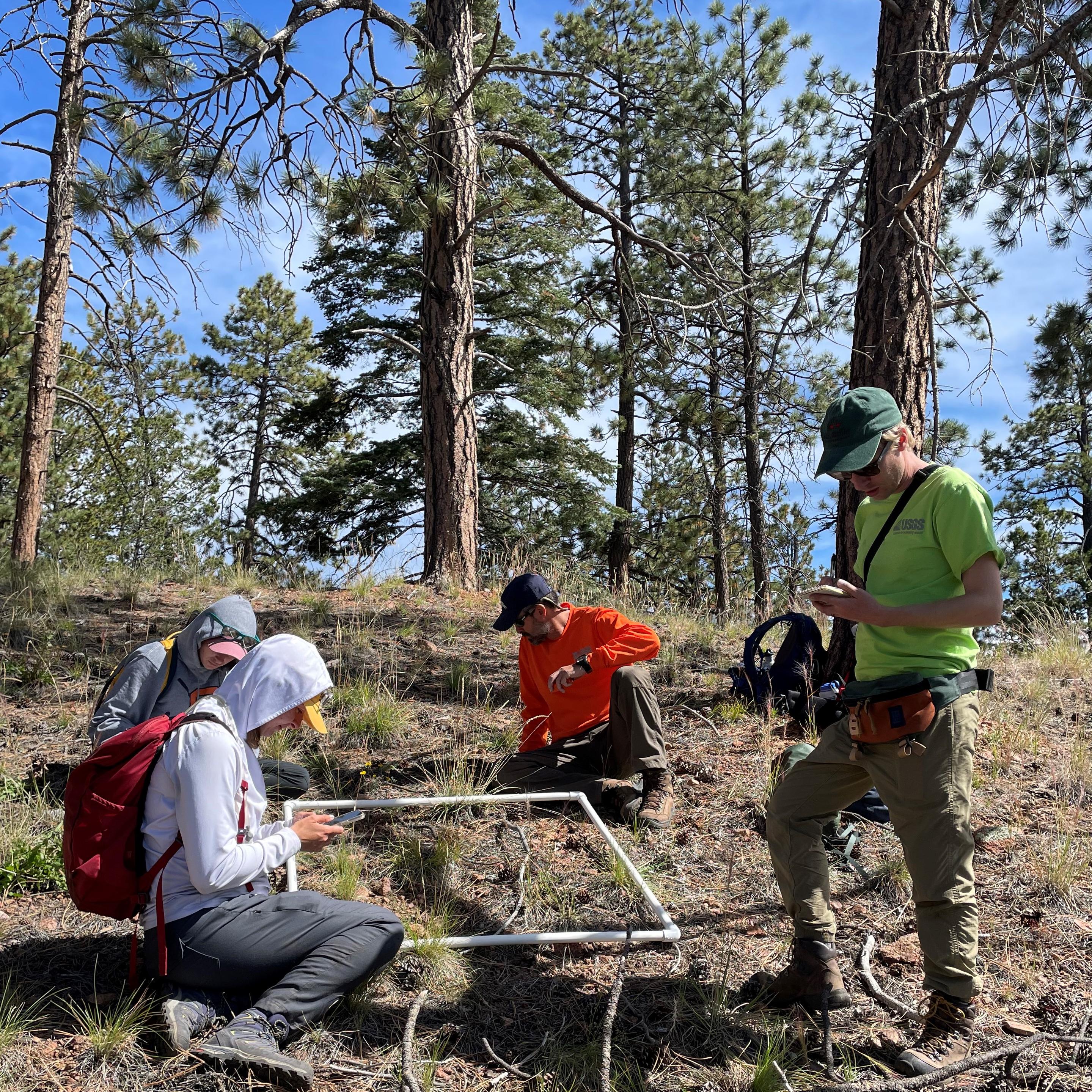 Four scientists work in a forest.
