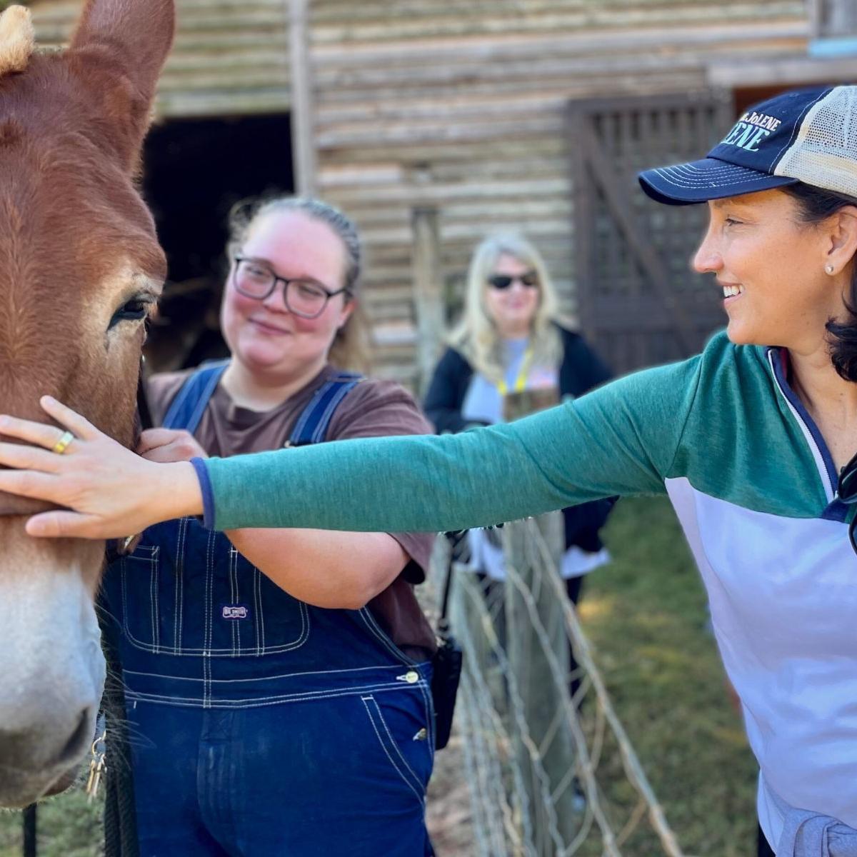 A visitor petting Penny the mule. 