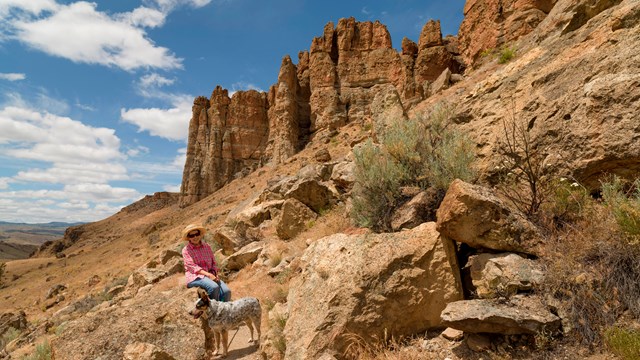 Clarno is the best place to find fossils in situ.