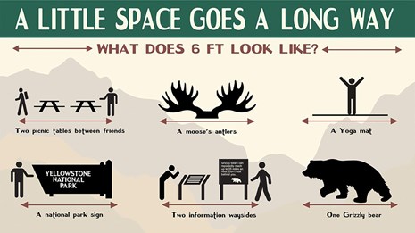 Infographic with text reading 