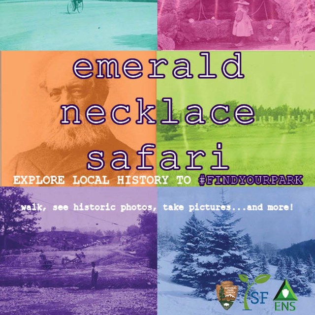 Poster announcing Emerald Necklace Safari with colorful blocks behind the letters.