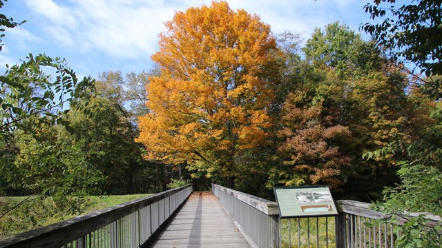 Fall on the North Abutment boardwalk. 
