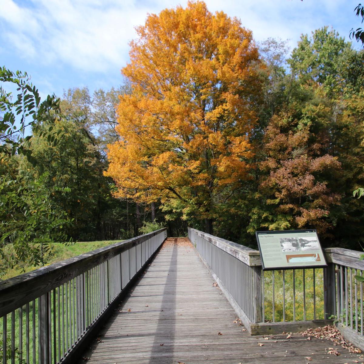 An accessible trail 