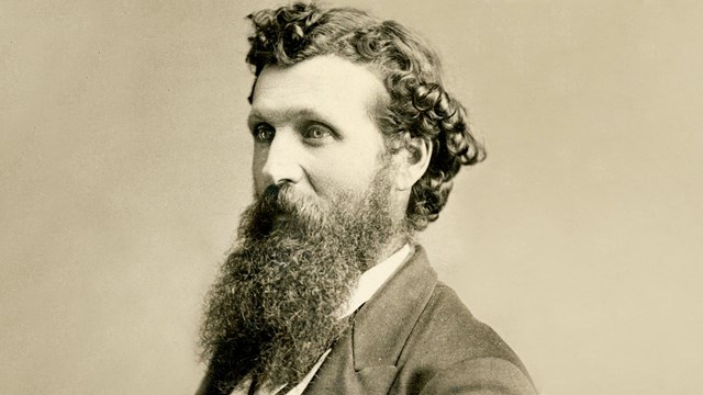 A middle-aged man with a long beard is wearing a suite and posing for a photograph. 