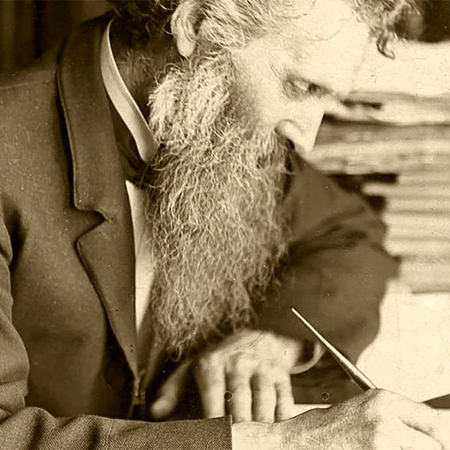 An older John Muir is writing at his desk. 