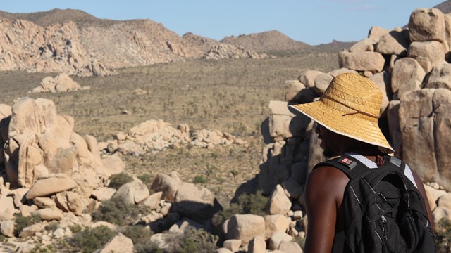 A hiker looking over desert landscape