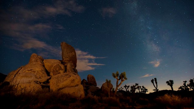 Stars over rocks and Joshua trees 