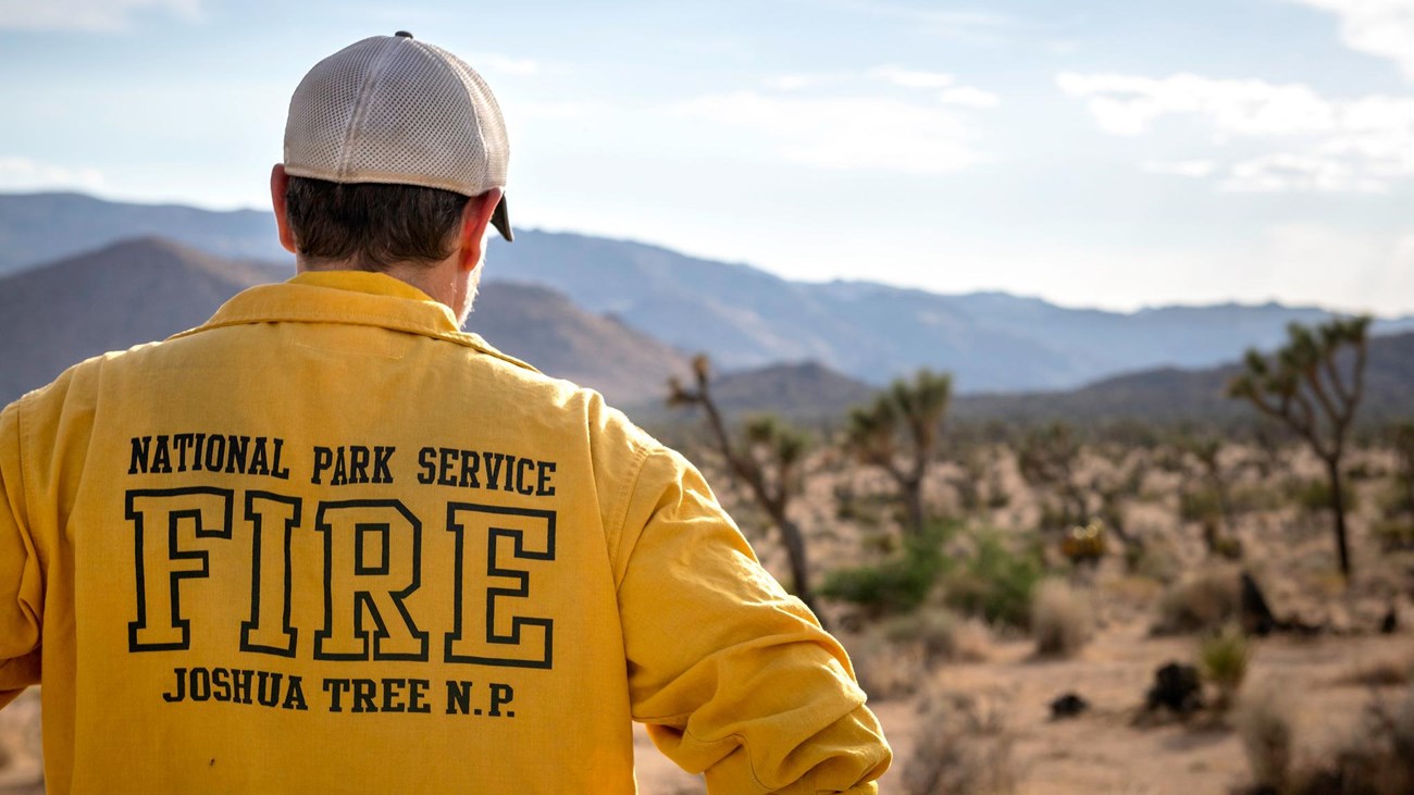 A wildland fire park ranger in a yellow shirt that reads "National Park Service Fire, Joshua Tree NP