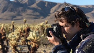 A photographer looking through a camera towards cactus