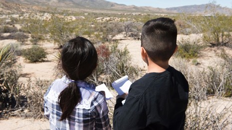 a girl and a boy looking across the desert toward distant mountains