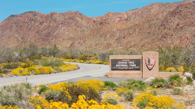 Joshua Tree National Park (U.S. National Park Service)