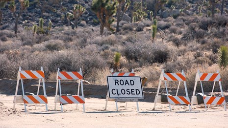 Cones and a Road Closed sign block a road. 