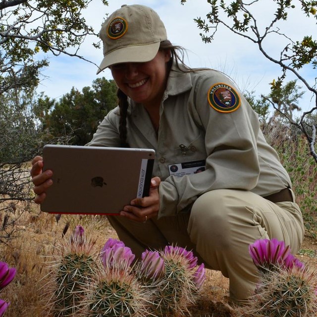 A ranger with a tablet