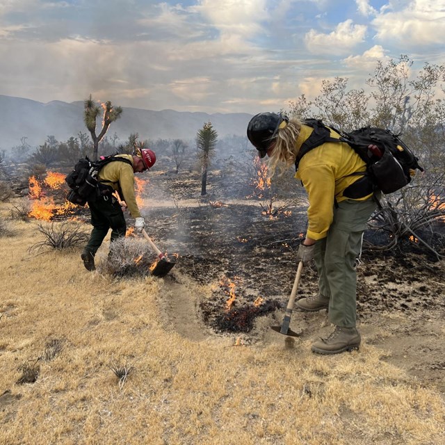 Two firefighters with shovels at the edge of a fire burning in the desert. 