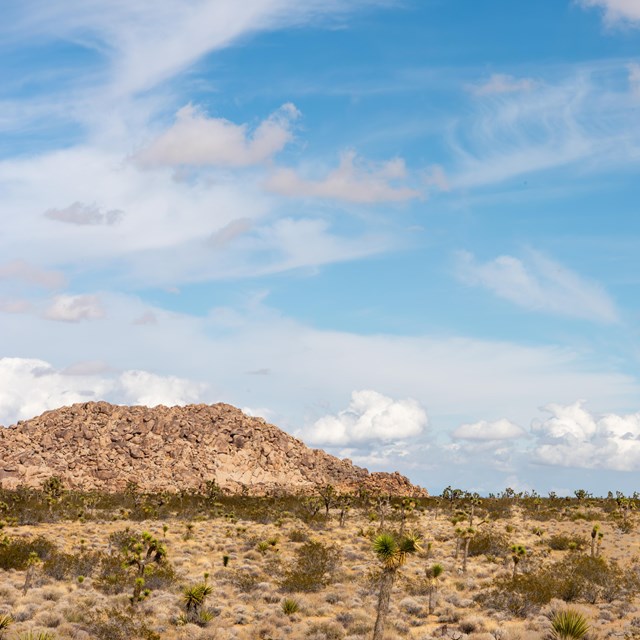 Alt text: A desert landscape with a large blue sky filled with different shapes of clouds.   
