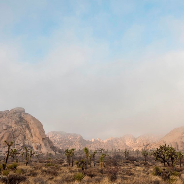 Color photo of low-lying clouds over granite mountains in the desert.