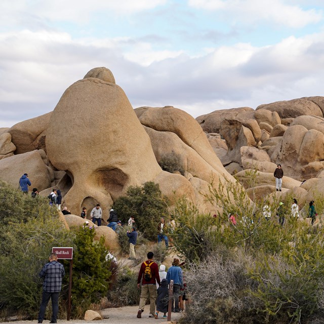 a crowd of tourists around a boulder shaped like a skull