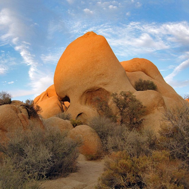 Color photo of Skull Rock at sunset with small brush in front of it.