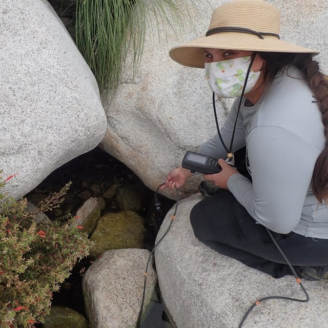 Woman sits on rock near desert spring, and dips sensor in to measure water quality parameters.