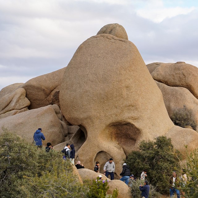 Skull Rock with many people in front of it