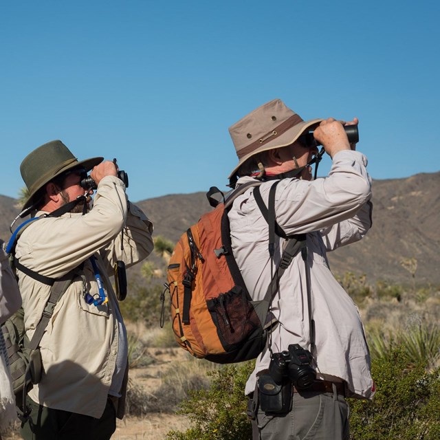 Three people looking through binoculars. 