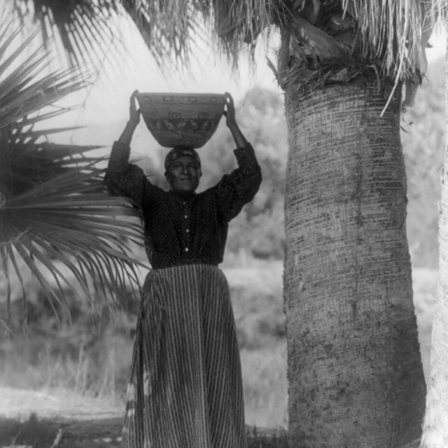 a black and white photo of a Native American woman holding a basket on her head