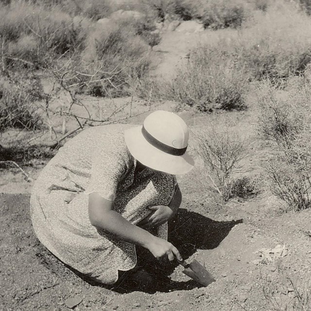 a black and white photo of a woman excavating in the desert