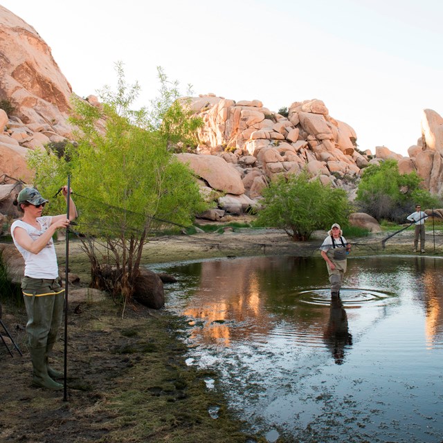 People setting up a large net over a pond