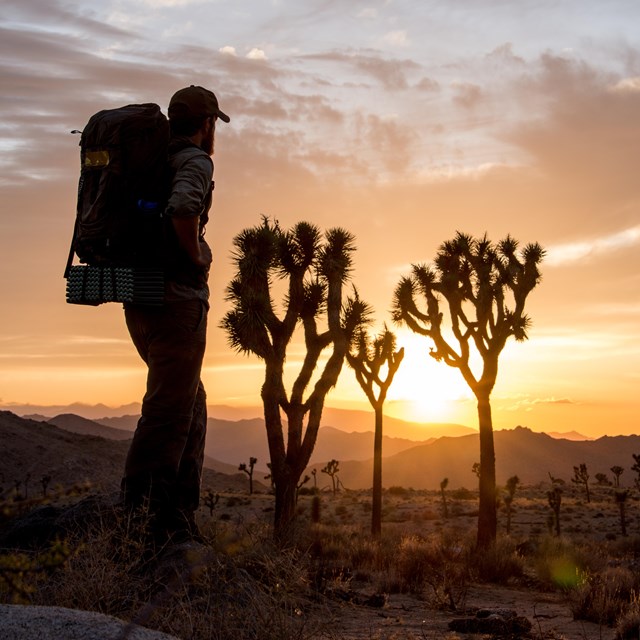 A backpacker stands with their back to the camera, looking out toward the sun setting.