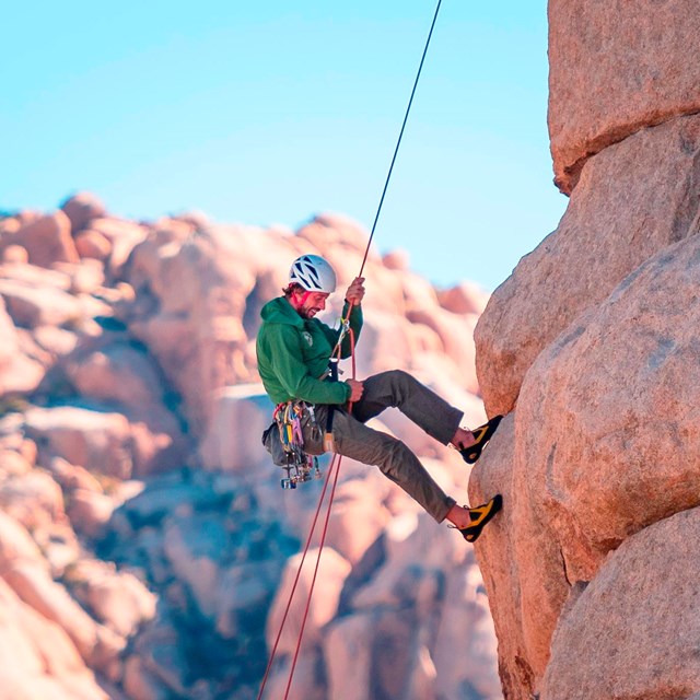  A climber steward in a green uniform shirt rappels down a climbing route.
