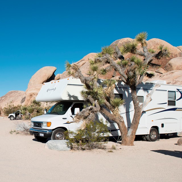 Campgrounds Joshua Tree National Park U S National Park Service Campgrounds Joshua Tree National Park U S National Park Service