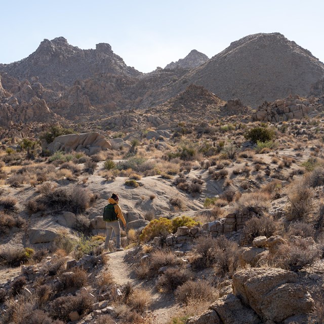 A hiker on a trail surrounded by rocks and shrubs with mountains in th background.