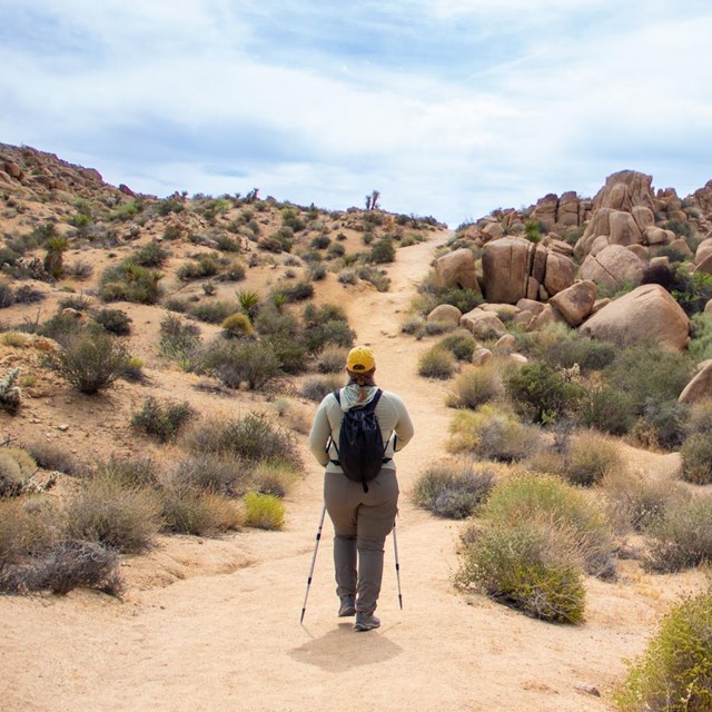 A hiker in blue walks on a trail with desert scrub.