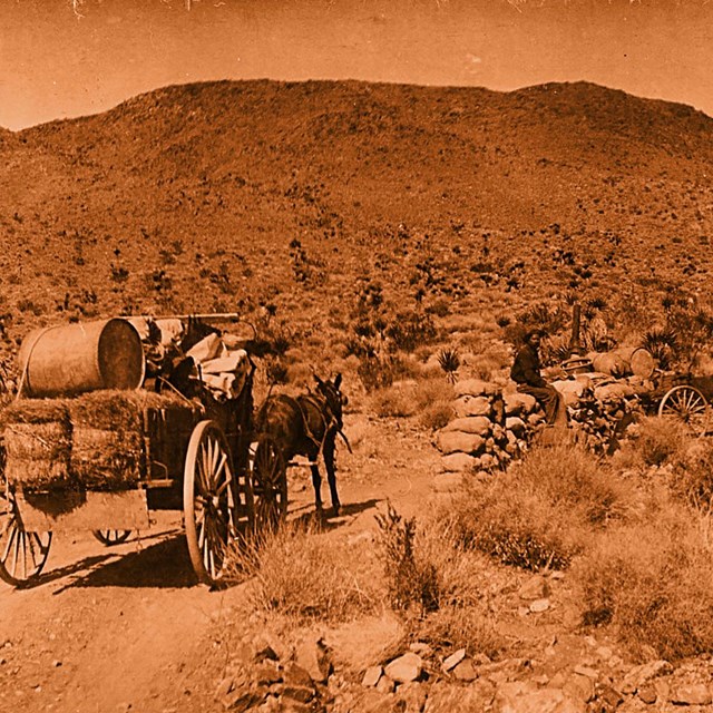 An sepia image of a carriage on a dirt road in the desert with a mountain in the distance. 