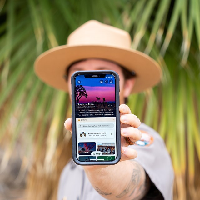 A park ranger holds up a smartphone displaying the NPS App