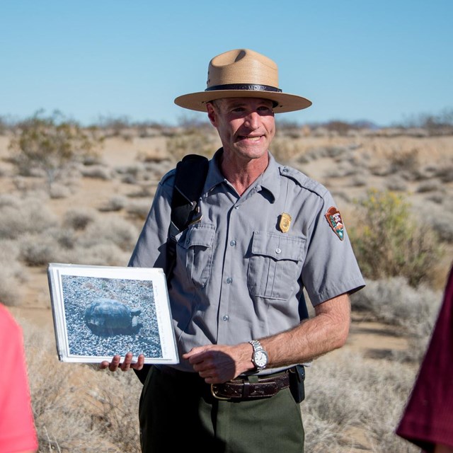 a ranger holds a photo of a desert tortoise while giving a talk to visitors